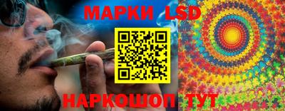 стаф Новозыбков