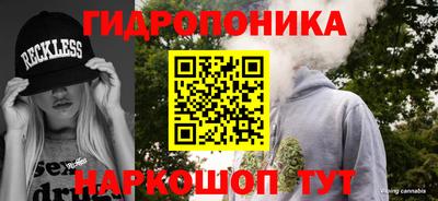 стаф Новозыбков
