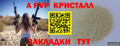 стаф Новозыбков